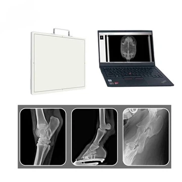 Ανιχνευτής πίνακα M1717V